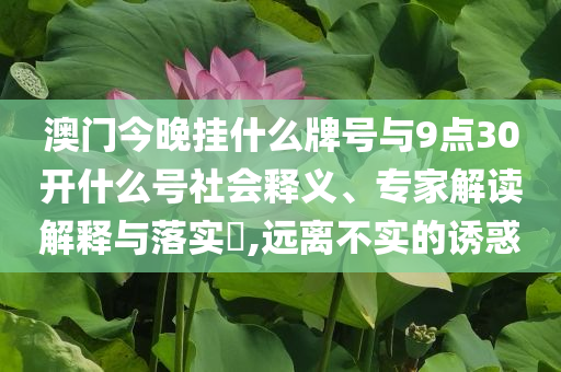 澳門今晚掛什么牌號與9點30開什么號社會釋義、專家解讀解釋與落實?,遠離不實的誘惑