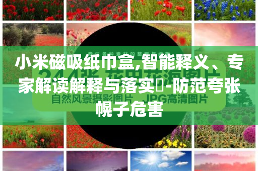 小米磁吸紙巾盒,智能釋義、專家解讀解釋與落實(shí)?-防范夸張幌子危害