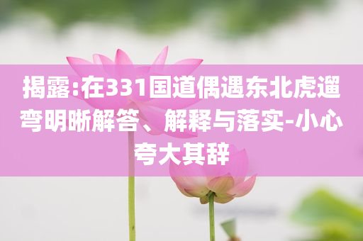 揭露:在331國道偶遇東北虎遛彎明晰解答、解釋與落實(shí)-小心夸大其辭