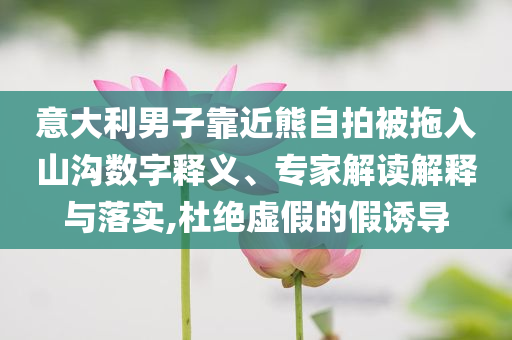 意大利男子靠近熊自拍被拖入山溝數(shù)字釋義、專家解讀解釋與落實(shí),杜絕虛假的假誘導(dǎo)