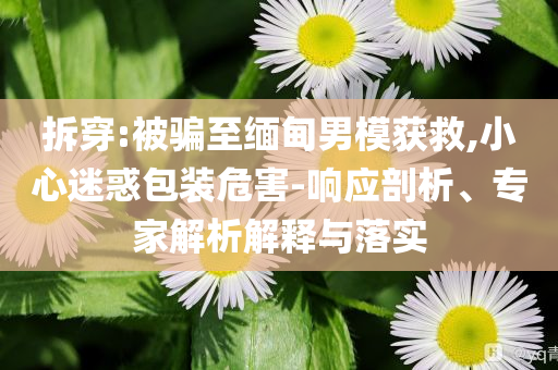 拆穿:被騙至緬甸男模獲救,小心迷惑包裝危害-響應剖析、專家解析解釋與落實