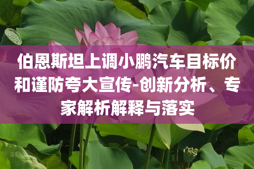 伯恩斯坦上調(diào)小鵬汽車目標價和謹防夸大宣傳-創(chuàng)新分析、專家解析解釋與落實