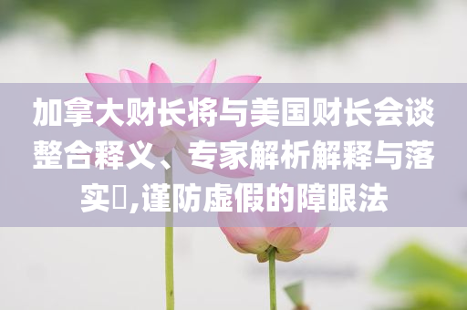 加拿大財長將與美國財長會談?wù)厢屃x、專家解析解釋與落實?,謹防虛假的障眼法