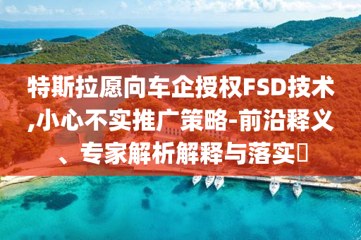 特斯拉愿向車企授權(quán)FSD技術(shù),小心不實推廣策略-前沿釋義、專家解析解釋與落實?