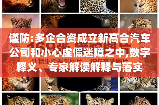 謹防:多企合資成立新高合汽車公司和小心虛假迷障之中,數(shù)字釋義、專家解讀解釋與落實
