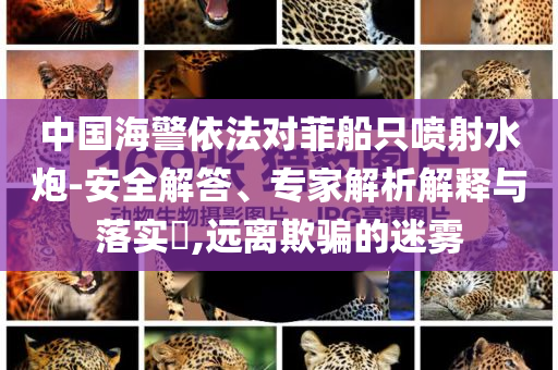 中國海警依法對菲船只噴射水炮-安全解答、專家解析解釋與落實?,遠離欺騙的迷霧