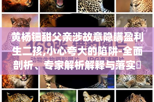 黃楊鈿甜父親涉故意隱瞞盈利生二孩,小心夸大的陷阱-全面剖析、專家解析解釋與落實?