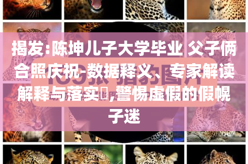 揭發(fā):陳坤兒子大學(xué)畢業(yè) 父子倆合照慶祝-數(shù)據(jù)釋義、專家解讀解釋與落實(shí)?,警惕虛假的假幌子迷