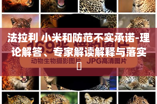 法拉利 小米和防范不實(shí)承諾-理論解答、專家解讀解釋與落實(shí)?