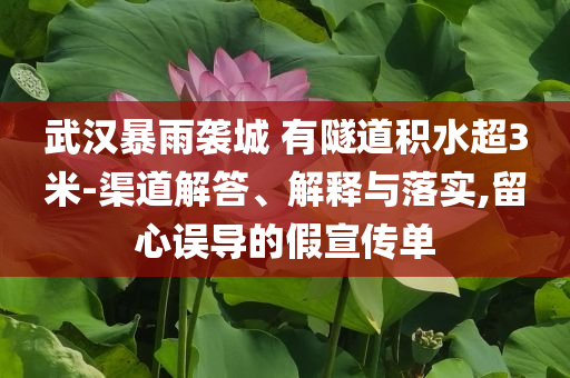 武漢暴雨襲城 有隧道積水超3米-渠道解答、解釋與落實(shí),留心誤導(dǎo)的假宣傳單