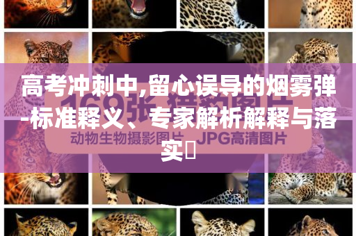 高考沖刺中,留心誤導(dǎo)的煙霧彈-標(biāo)準(zhǔn)釋義、專家解析解釋與落實(shí)?