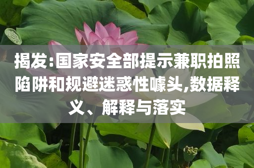 揭發(fā):國家安全部提示兼職拍照陷阱和規(guī)避迷惑性噱頭,數據釋義、解釋與落實