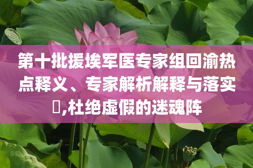 第十批援埃軍醫(yī)專家組回渝熱點釋義、專家解析解釋與落實?,杜絕虛假的迷魂陣
