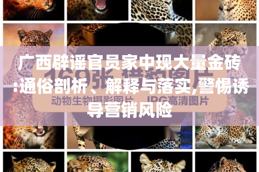 廣西辟謠官員家中現(xiàn)大量金磚:通俗剖析、解釋與落實(shí),警惕誘導(dǎo)營(yíng)銷風(fēng)險(xiǎn)