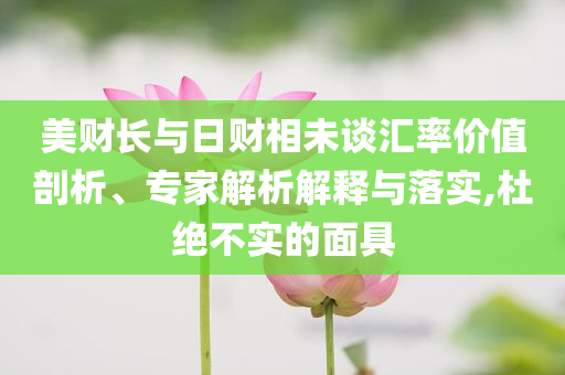 美財(cái)長(zhǎng)與日財(cái)相未談匯率價(jià)值剖析、專家解析解釋與落實(shí),杜絕不實(shí)的面具