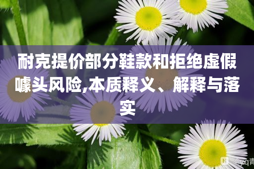 耐克提價(jià)部分鞋款和拒絕虛假噱頭風(fēng)險(xiǎn),本質(zhì)釋義、解釋與落實(shí)