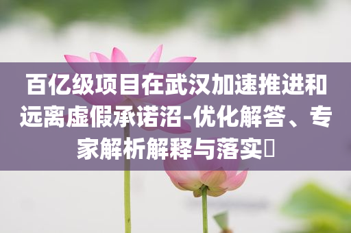 百億級(jí)項(xiàng)目在武漢加速推進(jìn)和遠(yuǎn)離虛假承諾沼-優(yōu)化解答、專家解析解釋與落實(shí)?