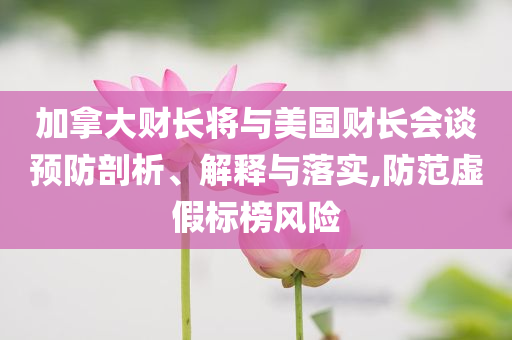 加拿大財(cái)長(zhǎng)將與美國(guó)財(cái)長(zhǎng)會(huì)談?lì)A(yù)防剖析、解釋與落實(shí),防范虛假標(biāo)榜風(fēng)險(xiǎn)