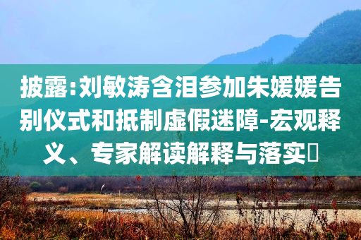披露:劉敏濤含淚參加朱媛媛告別儀式和抵制虛假迷障-宏觀釋義、專家解讀解釋與落實(shí)?