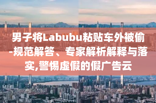 男子將Labubu粘貼車外被偷-規(guī)范解答、專家解析解釋與落實(shí),警惕虛假的假廣告云