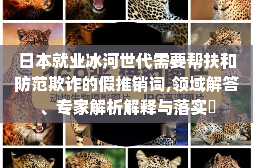 日本就業(yè)冰河世代需要幫扶和防范欺詐的假推銷(xiāo)詞,領(lǐng)域解答、專家解析解釋與落實(shí)?