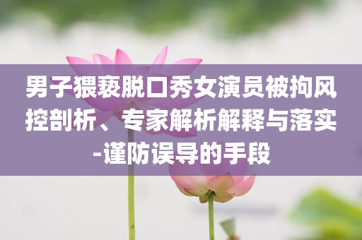 男子猥褻脫口秀女演員被拘風(fēng)控剖析、專家解析解釋與落實(shí)-謹(jǐn)防誤導(dǎo)的手段