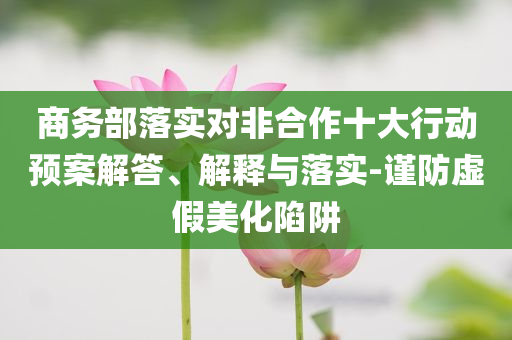 商務(wù)部落實(shí)對(duì)非合作十大行動(dòng)預(yù)案解答、解釋與落實(shí)-謹(jǐn)防虛假美化陷阱