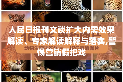 人民日?qǐng)?bào)刊文談擴(kuò)大內(nèi)需效果解讀、專家解讀解釋與落實(shí),警惕營(yíng)銷假把戲