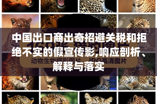 中國(guó)出口商出奇招避關(guān)稅和拒絕不實(shí)的假宣傳影,響應(yīng)剖析、解釋與落實(shí)