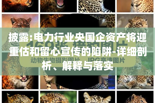 披露:電力行業(yè)央國(guó)企資產(chǎn)將迎重估和留心宣傳的陷阱-詳細(xì)剖析、解釋與落實(shí)