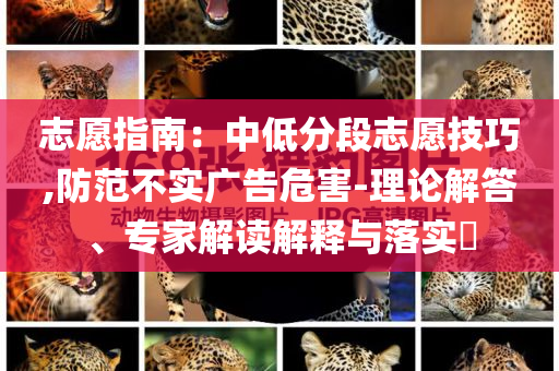 志愿指南：中低分段志愿技巧,防范不實廣告危害-理論解答、專家解讀解釋與落實?