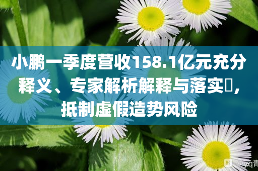 小鵬一季度營收158.1億元充分釋義、專家解析解釋與落實?,抵制虛假造勢風險