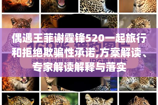 偶遇王菲謝霆鋒520一起旅行和拒絕欺騙性承諾,方案解讀、專家解讀解釋與落實