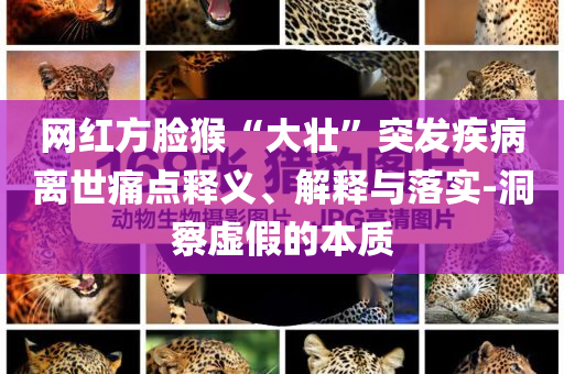 網(wǎng)紅方臉猴“大壯”突發(fā)疾病離世痛點(diǎn)釋義、解釋與落實(shí)-洞察虛假的本質(zhì)