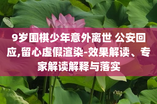 9歲圍棋少年意外離世 公安回應(yīng),留心虛假渲染-效果解讀、專家解讀解釋與落實(shí)