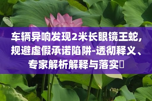 車輛異響發(fā)現(xiàn)2米長(zhǎng)眼鏡王蛇,規(guī)避虛假承諾陷阱-透徹釋義、專家解析解釋與落實(shí)?