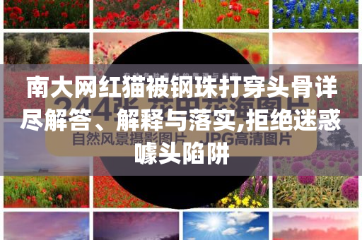南大網(wǎng)紅貓被鋼珠打穿頭骨詳盡解答、解釋與落實(shí),拒絕迷惑噱頭陷阱