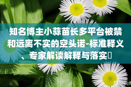 知名博主小蒜苗長(zhǎng)多平臺(tái)被禁和遠(yuǎn)離不實(shí)的空頭諾-標(biāo)準(zhǔn)釋義、專家解讀解釋與落實(shí)?