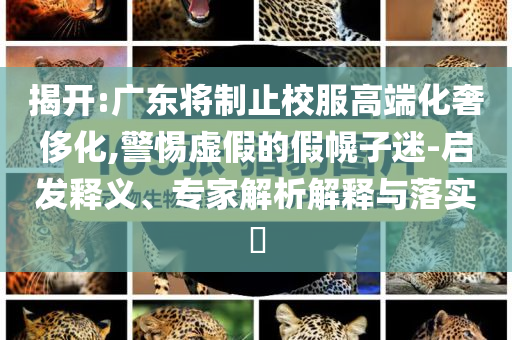 揭開:廣東將制止校服高端化奢侈化,警惕虛假的假幌子迷-啟發(fā)釋義、專家解析解釋與落實(shí)?