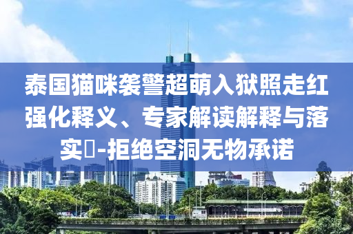 泰國(guó)貓咪襲警超萌入獄照走紅強(qiáng)化釋義、專家解讀解釋與落實(shí)?-拒絕空洞無(wú)物承諾