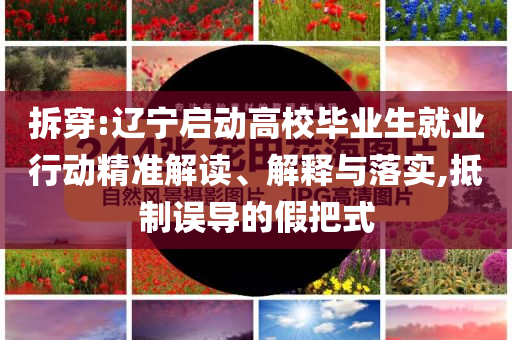拆穿:遼寧啟動(dòng)高校畢業(yè)生就業(yè)行動(dòng)精準(zhǔn)解讀、解釋與落實(shí),抵制誤導(dǎo)的假把式