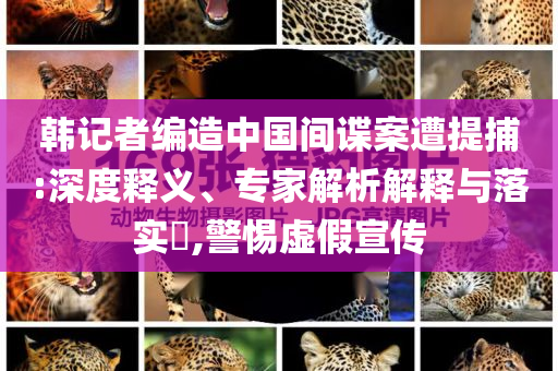 韓記者編造中國(guó)間諜案遭提捕:深度釋義、專家解析解釋與落實(shí)?,警惕虛假宣傳