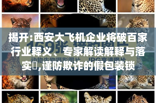 揭開:西安大飛機企業(yè)將破百家行業(yè)釋義、專家解讀解釋與落實?,謹(jǐn)防欺詐的假包裝鎖