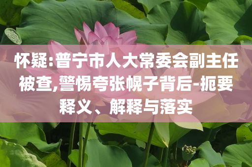 懷疑:普寧市人大常委會副主任被查,警惕夸張幌子背后-扼要釋義、解釋與落實