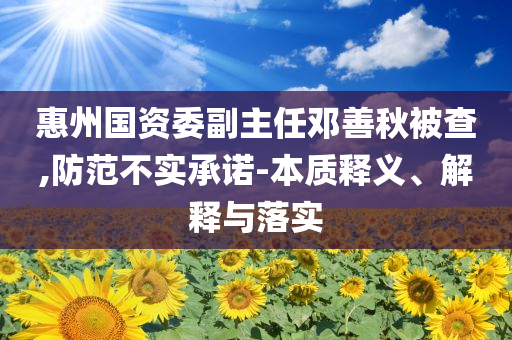 惠州國資委副主任鄧善秋被查,防范不實承諾-本質(zhì)釋義、解釋與落實
