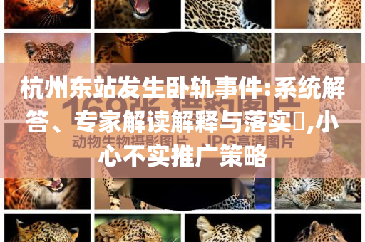 杭州東站發(fā)生臥軌事件:系統(tǒng)解答、專家解讀解釋與落實(shí)?,小心不實(shí)推廣策略