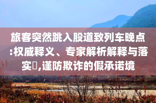 旅客突然跳入股道致列車晚點:權(quán)威釋義、專家解析解釋與落實?,謹防欺詐的假承諾境
