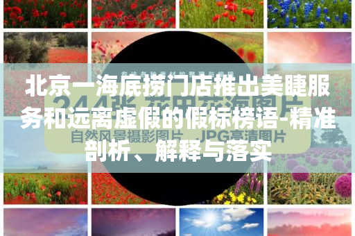 北京一海底撈門店推出美睫服務和遠離虛假的假標榜語-精準剖析、解釋與落實