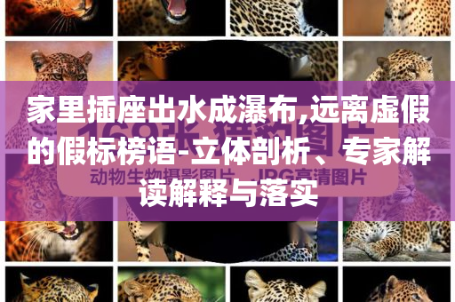 家里插座出水成瀑布,遠離虛假的假標榜語-立體剖析、專家解讀解釋與落實