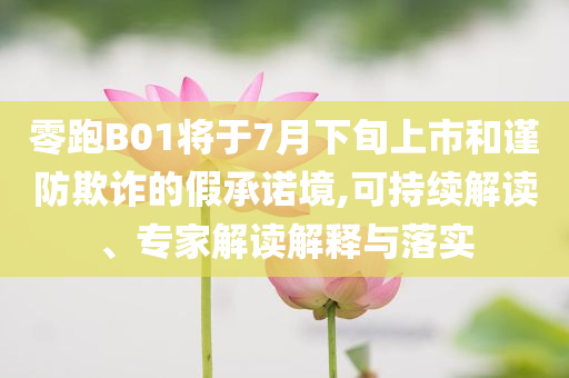 零跑B01將于7月下旬上市和謹(jǐn)防欺詐的假承諾境,可持續(xù)解讀、專家解讀解釋與落實(shí)